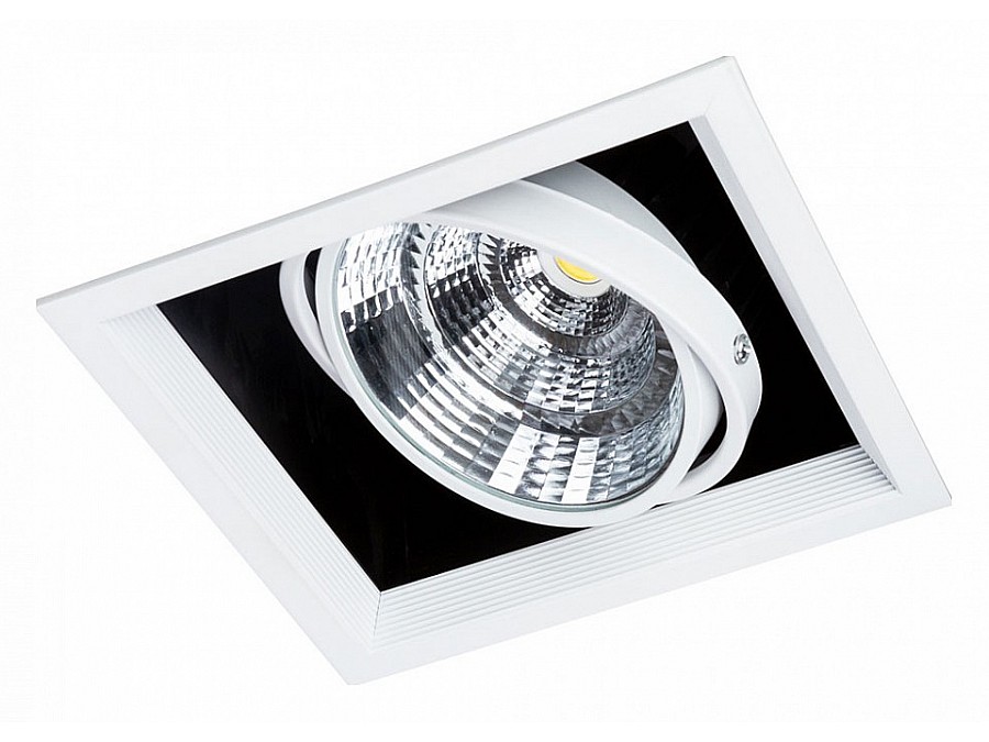 Встраиваемый светильник Arte Lamp Merga A8450PL-1WH