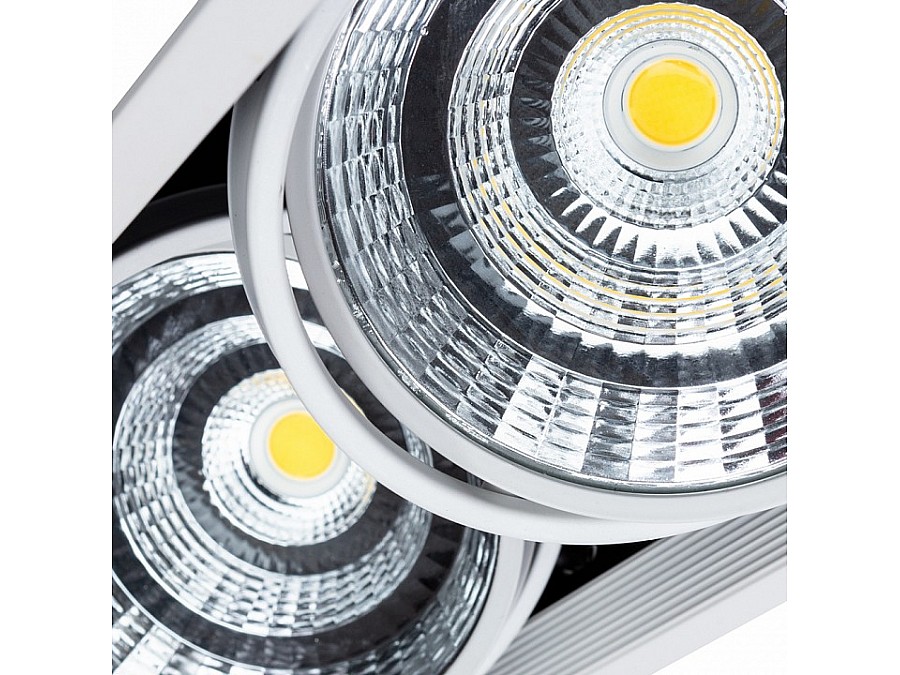 Встраиваемый светильник Arte Lamp Merga A8450PL-2WH