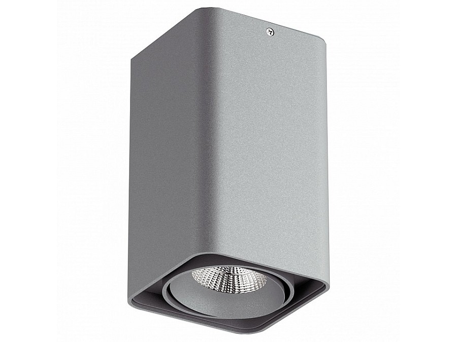 Накладной светильник Lightstar Monocco 52139