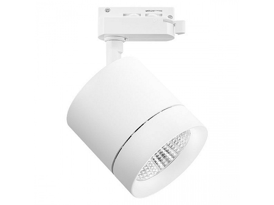 Светильник на штанге Lightstar Canno 301264