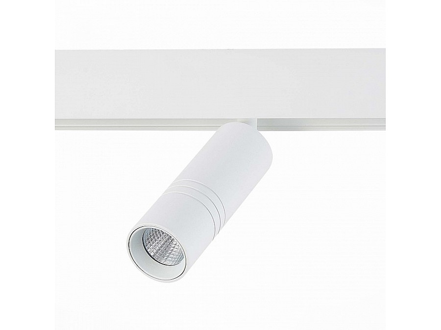 Светильник на штанге ST-Luce Lemmi ST365.546.12