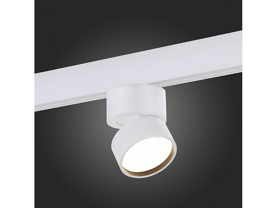 Светильник на штанге ST-Luce ST809 ST809.536.09