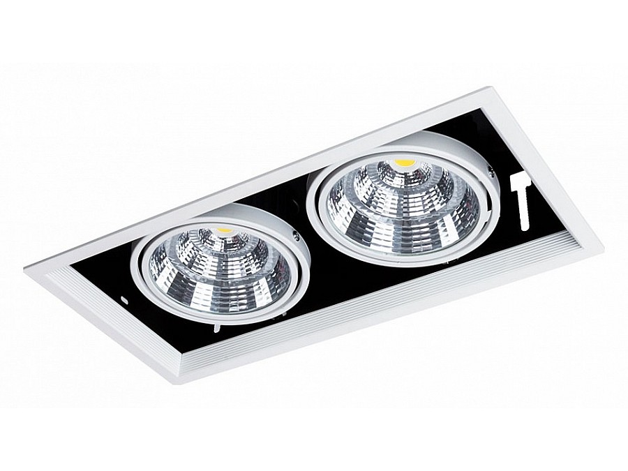 Встраиваемый светильник Arte Lamp Merga A8450PL-2WH