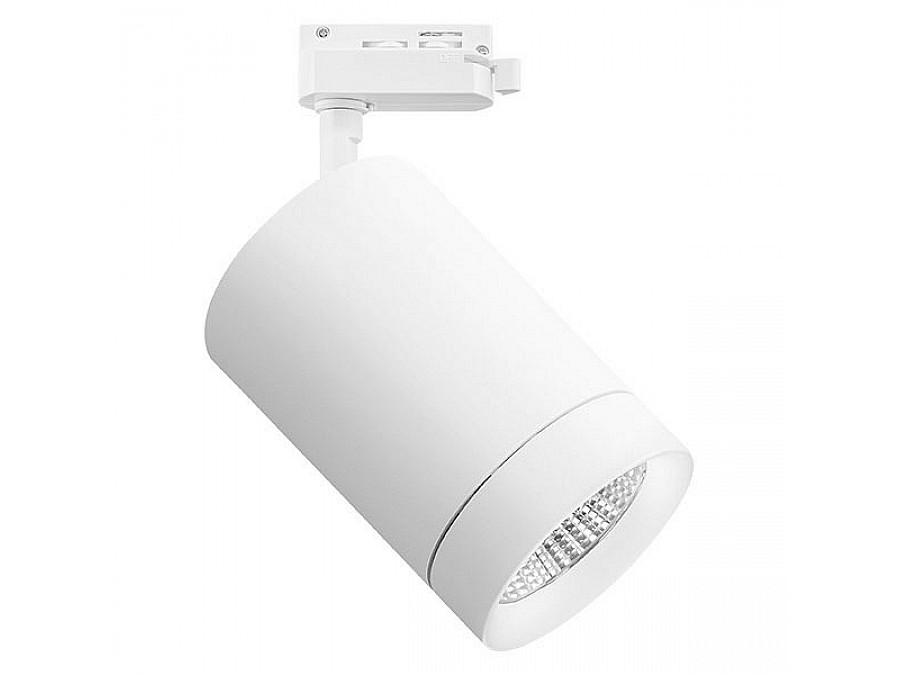 Светильник на штанге Lightstar Canno 303262