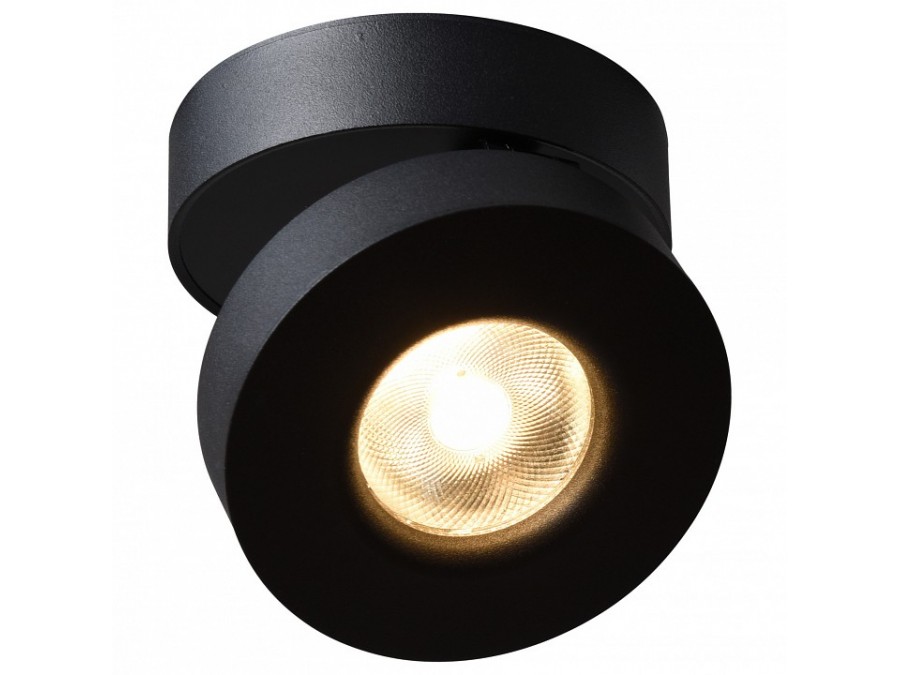 Накладной светильник Arte Lamp 2511 A2511PL-1BK