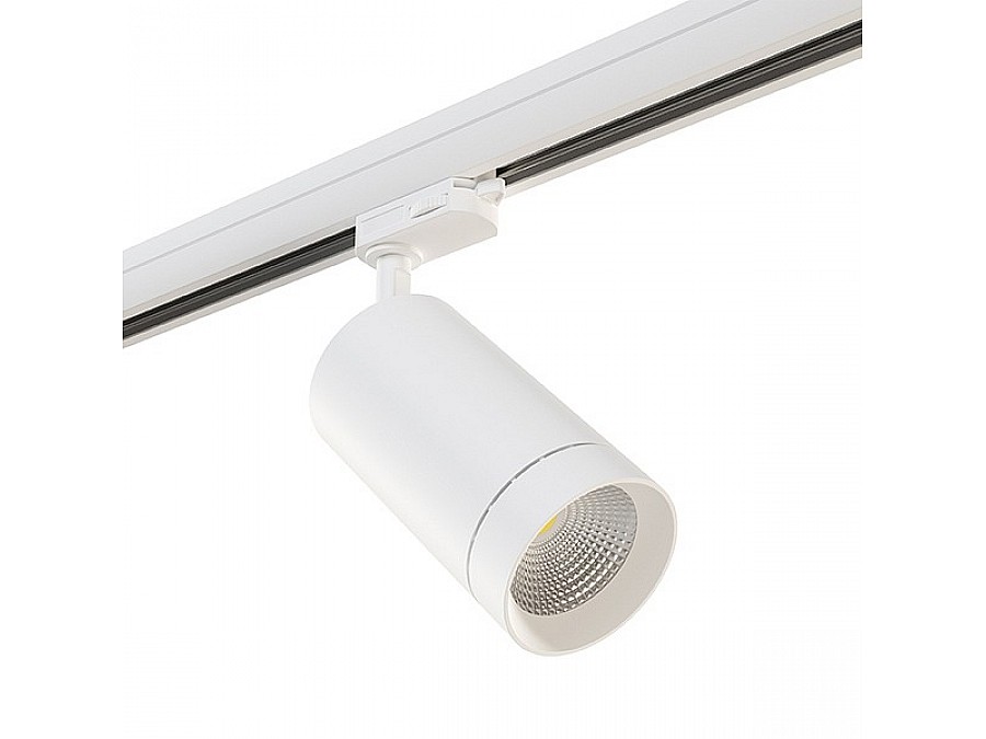 Светильник на штанге Lightstar Canno 303564