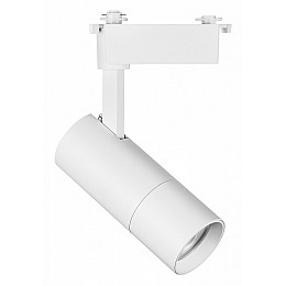 Светильник на штанге Lightstar Volta 229236