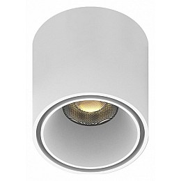 Накладной светильник Aployt Magnetic track 48 APL.0109.10.06