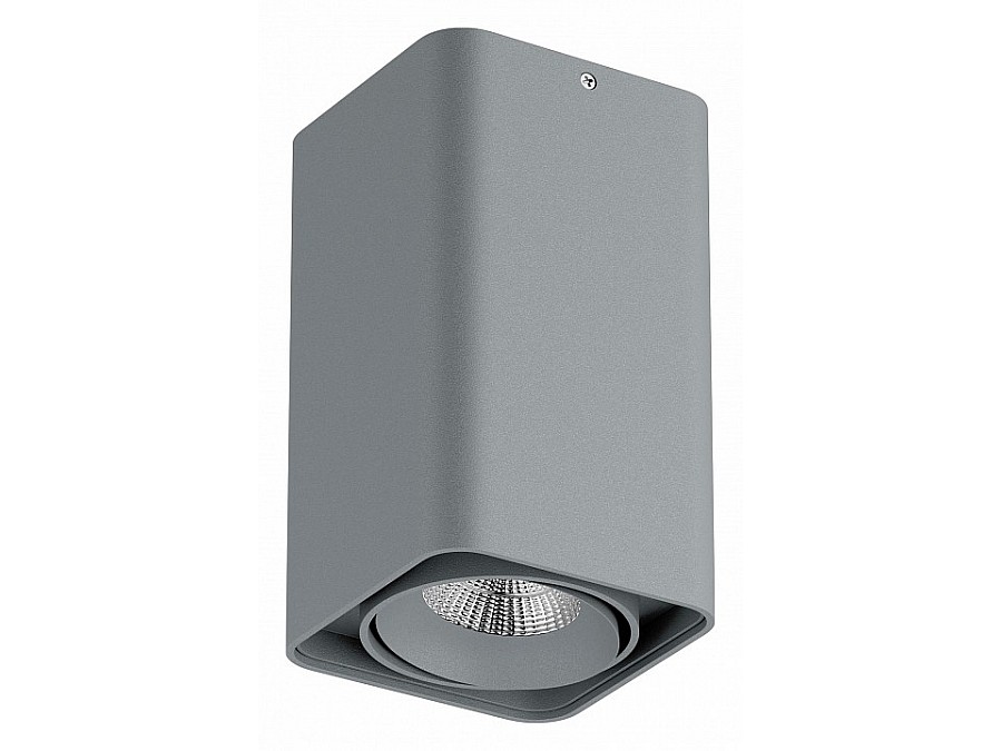 Накладной светильник Lightstar Monocco 052339-IP65