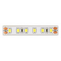 Лента светодиодная ST-Luce ST1001 ST1001.410.65