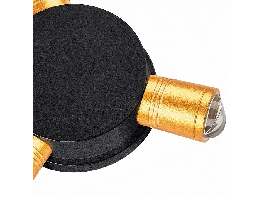 Накладной светильник Lightstar Dito 380633