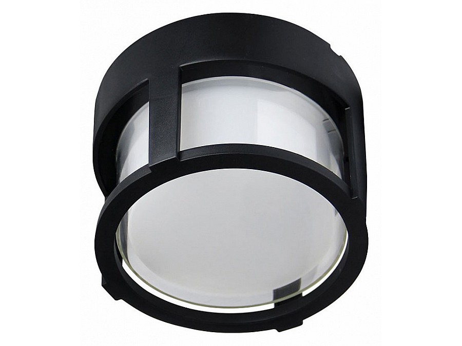 Накладной светильник Arte Lamp Ulysses A6206PF-1BK