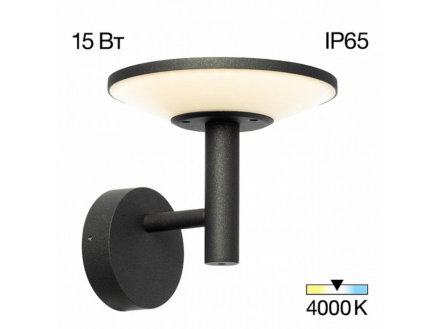 Светильник на штанге Citilux Dorn CLU05W