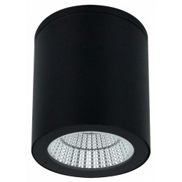 Накладной светильник Arte Lamp TORCULAR A1313PF-1BK