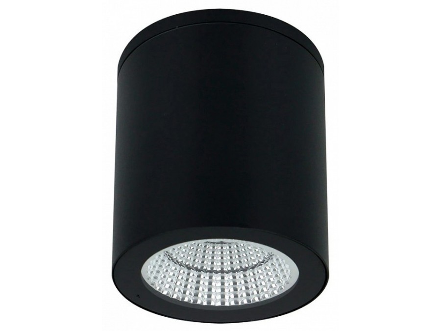 Накладной светильник Arte Lamp TORCULAR A1313PF-1BK