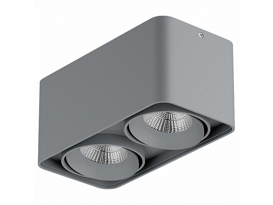 Накладной светильник Lightstar Monocco 052329-IP65