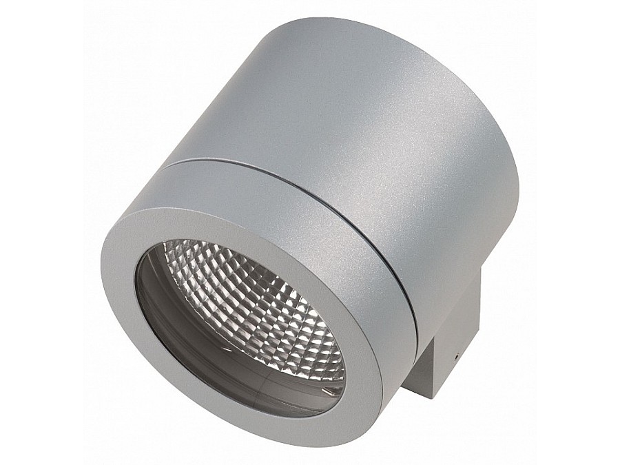 Накладной светильник Lightstar Paro 350619