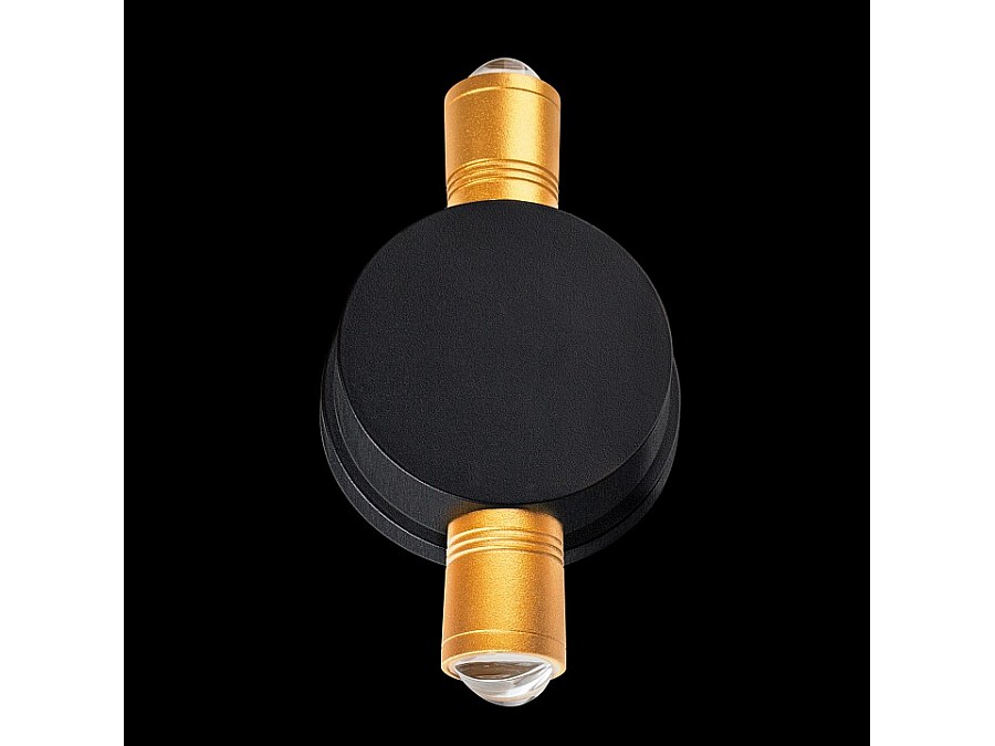 Накладной светильник Lightstar Dito 380623