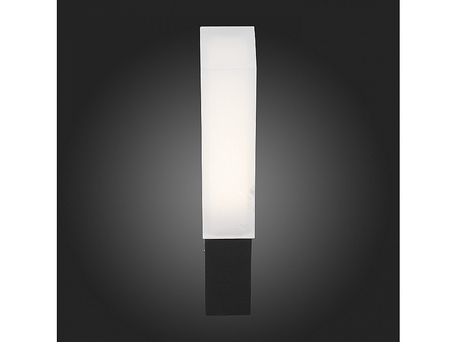 Накладной светильник ST-Luce Posto SL096.411.02