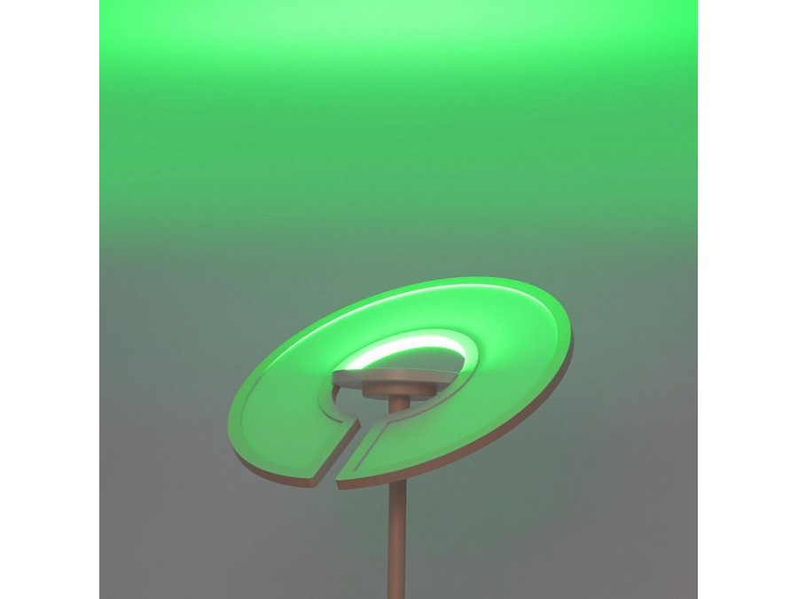 Торшер Citilux LOONG CL810030