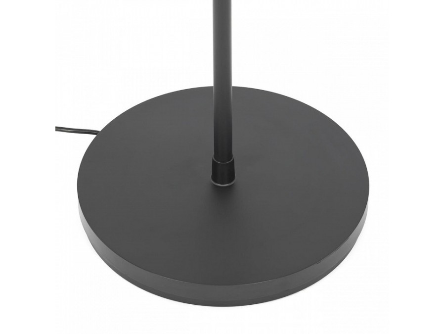 Торшер Citilux LOONG CL810031