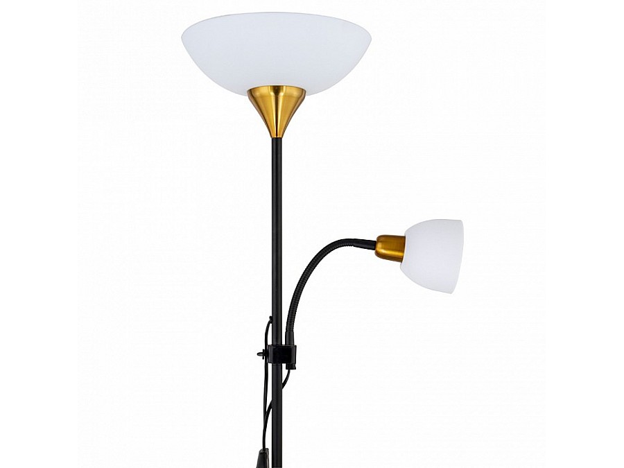Торшер с подсветкой Arte Lamp Duetto A9569PN-2BK
