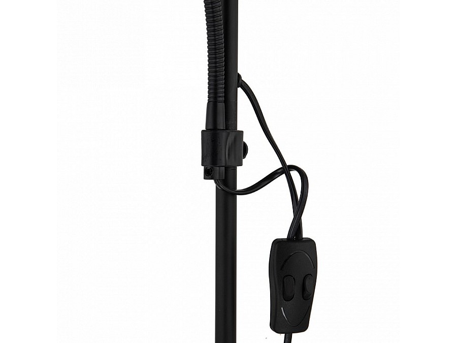 Торшер с подсветкой Arte Lamp Duetto A9569PN-2BK