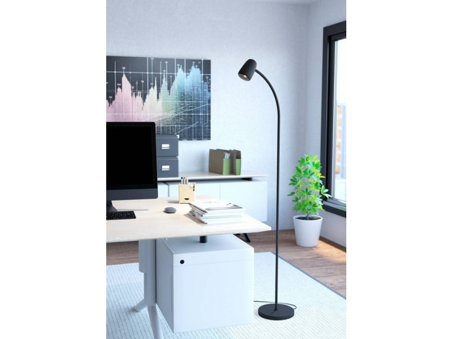 Торшер Eglo CARLO 902172