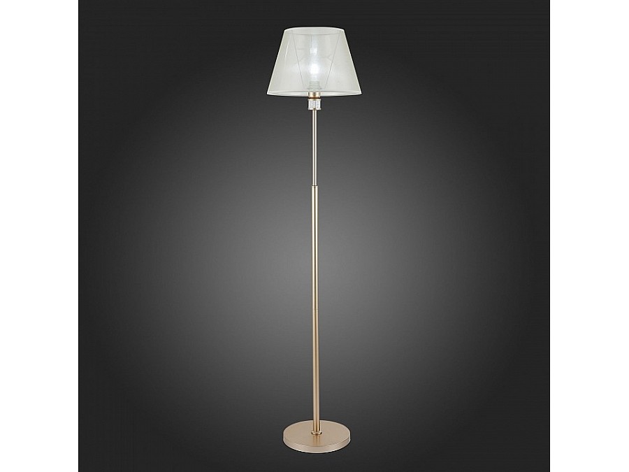 Торшер EVOLUCE Manila SLE107505-01