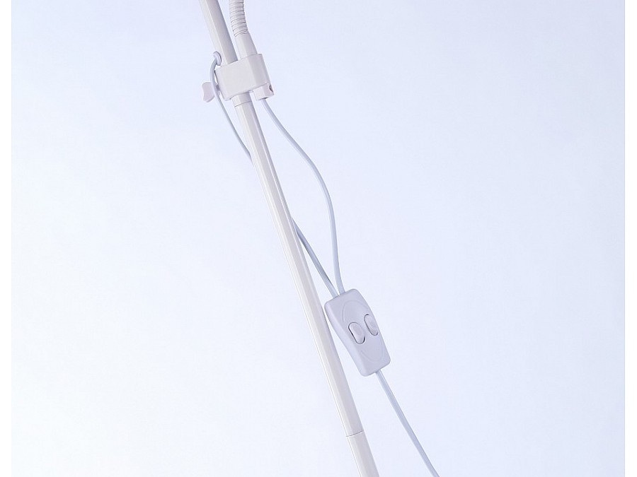 Торшер с подсветкой Ambrella TR TR97622