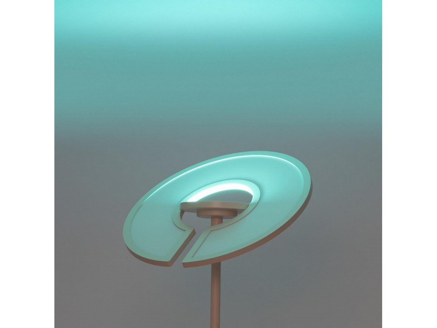 Торшер Citilux LOONG CL810030