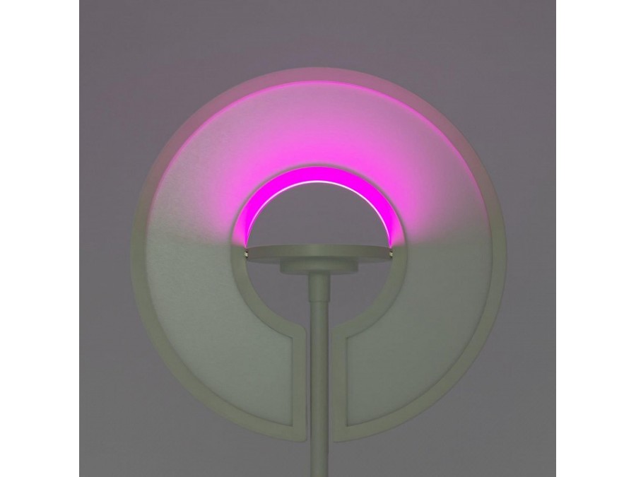 Торшер Citilux LOONG CL810030