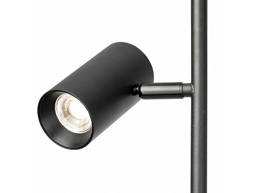 Торшер Citilux Twin CL809011N