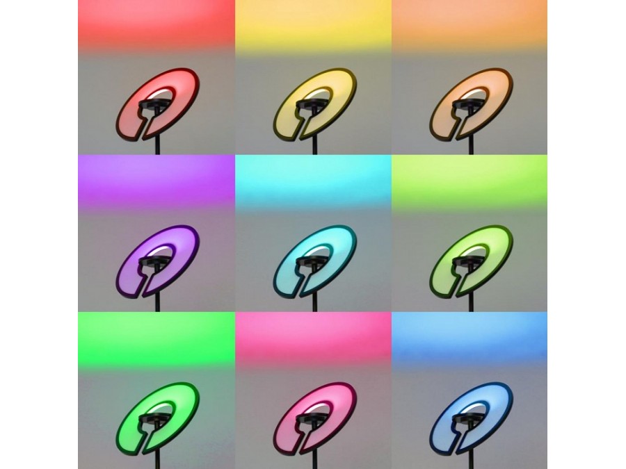 Торшер Citilux LOONG CL810031