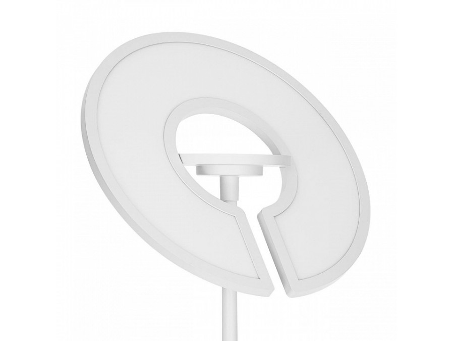 Торшер Citilux LOONG CL810030