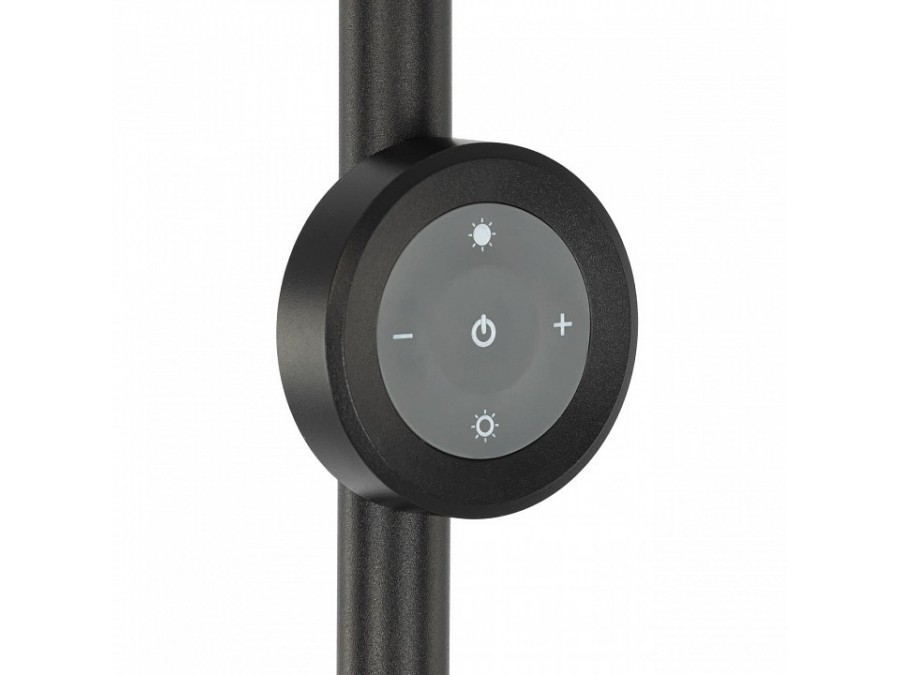 Торшер Citilux LOONG CL810031