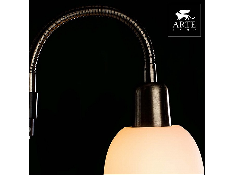 Торшер с подсветкой Arte Lamp Duetto A9569PN-2AB
